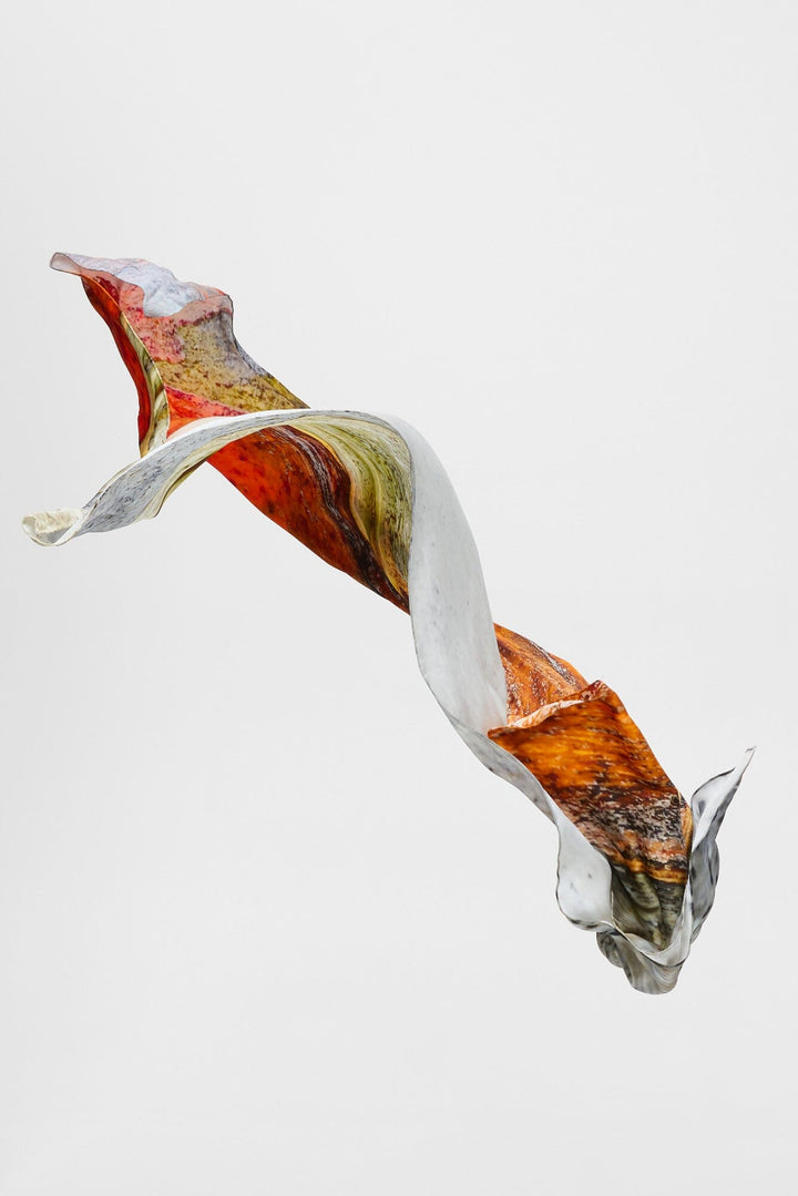 Snow Bark Silk Scarf