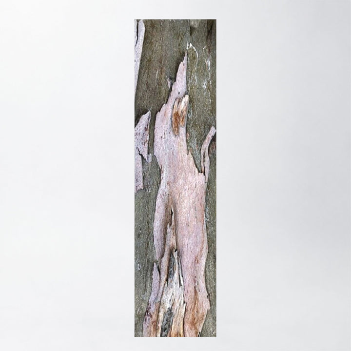 Pink Bark Silk 145 Scarf