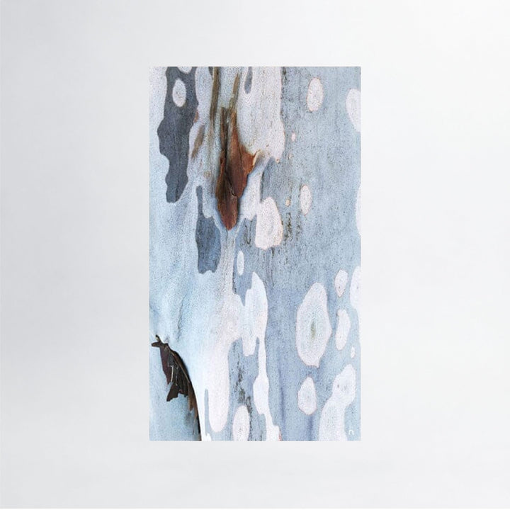 Spotted Bark Silk 180 Scarf