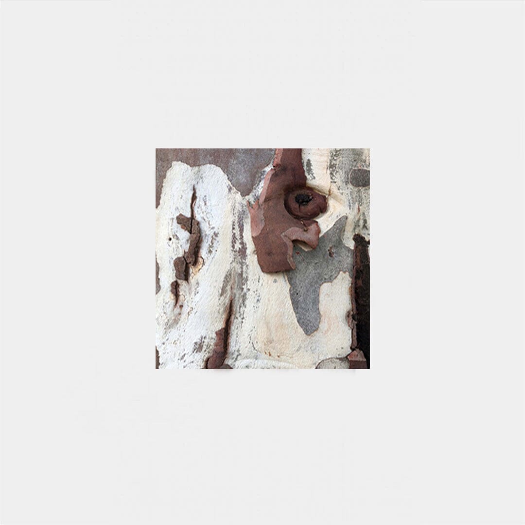 Shadow Bark Silk 55 Cravat