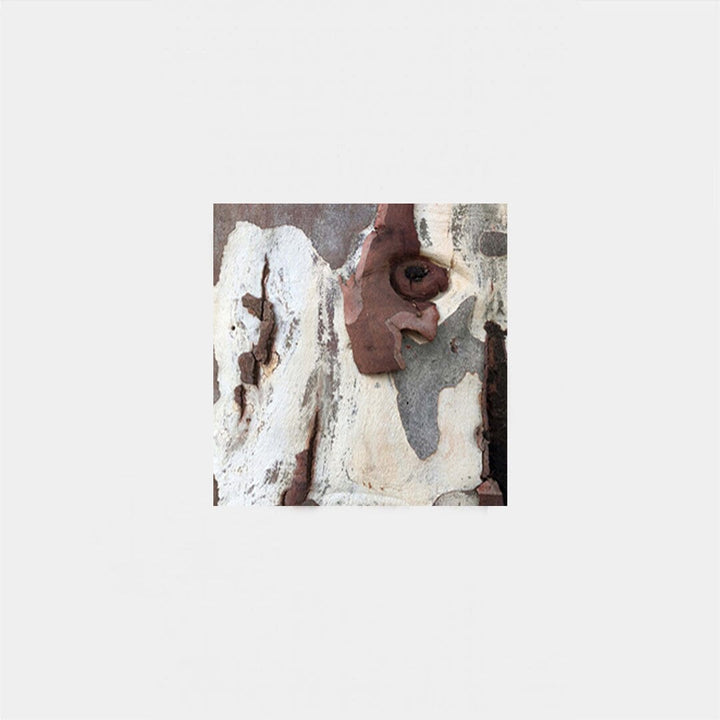 Shadow Bark Silk 55 Cravat