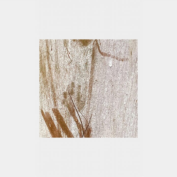 Ghost Bark Silk Square Scarf