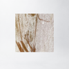 Ghost Bark Silk 90 Scarf