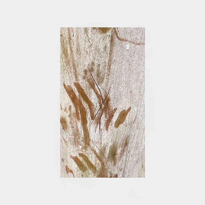 Ghost Bark Scarf/Reversible Bag Set