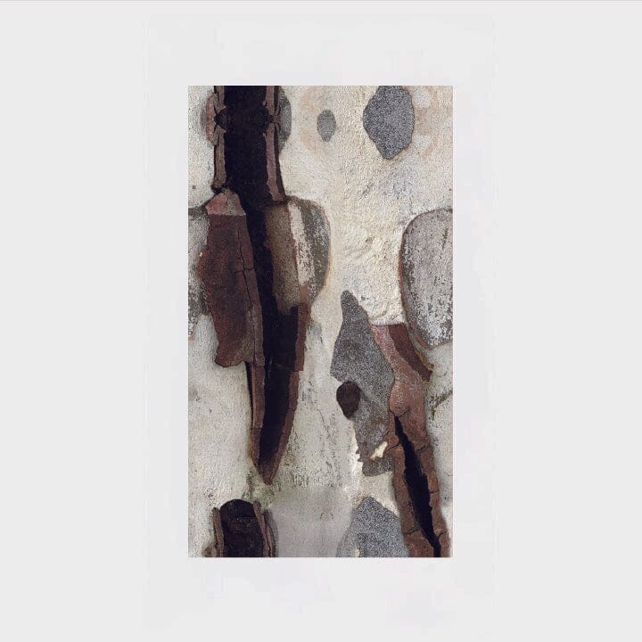 Shadow Bark Silk Scarf