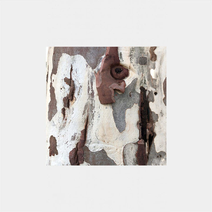 Shadow Bark Silk 90 Scarf