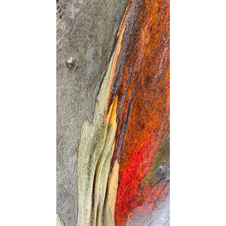 Snow Bark Silk Scarf