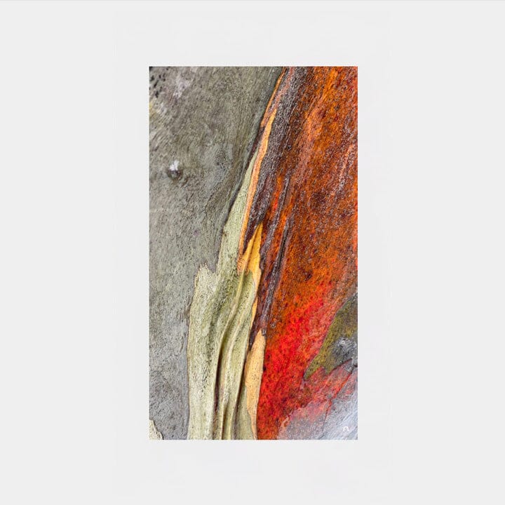 Snow Bark Silk Scarf