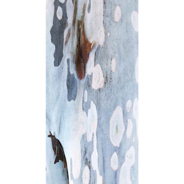 Spotted Bark Silk Scarf