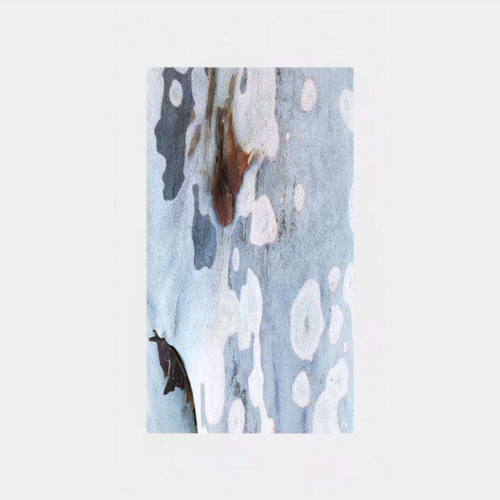 Spotted Bark Silk Scarf