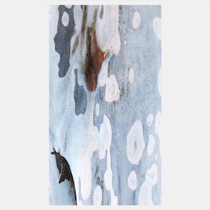 Spotted Bark Scarf/Reversible Bag Set