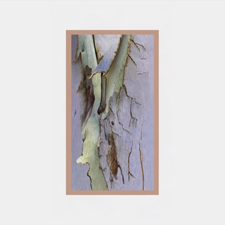 Textured Bark Silk Scarf