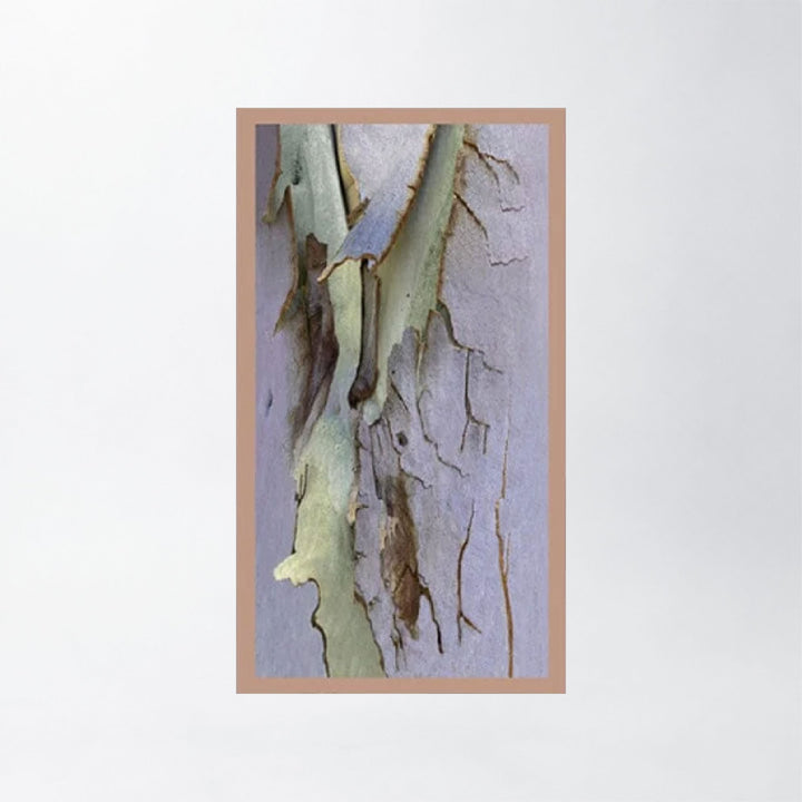 Traces Silk 180 Scarf